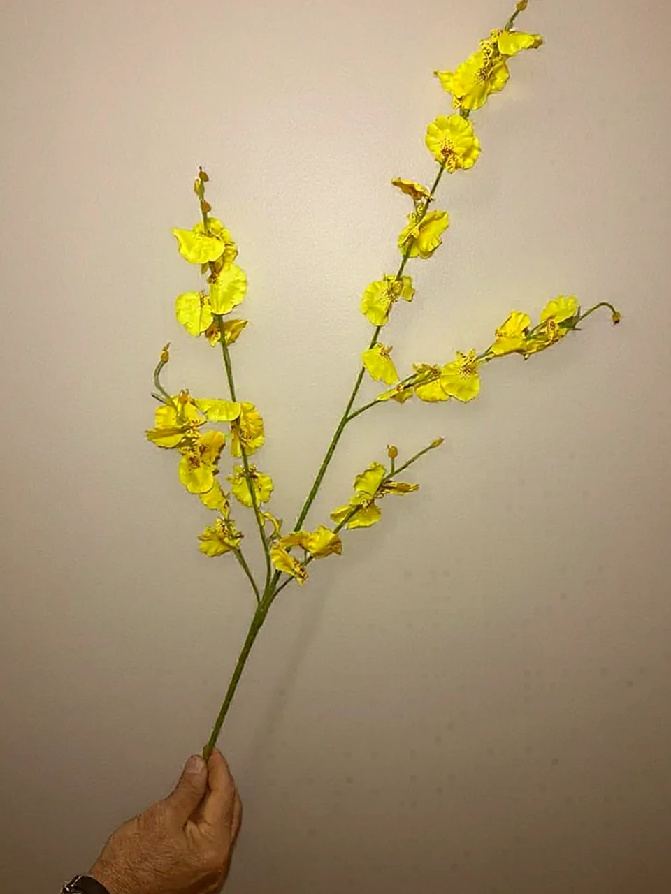 Orquídea Chuva de Ouro Artificial, imagem ilustrativa