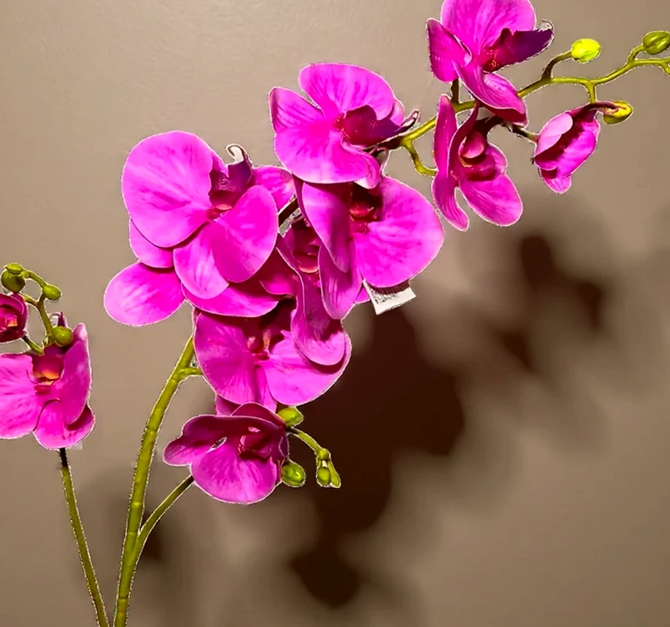 Orquídea Rosa Artificial, imagem ilustrativa