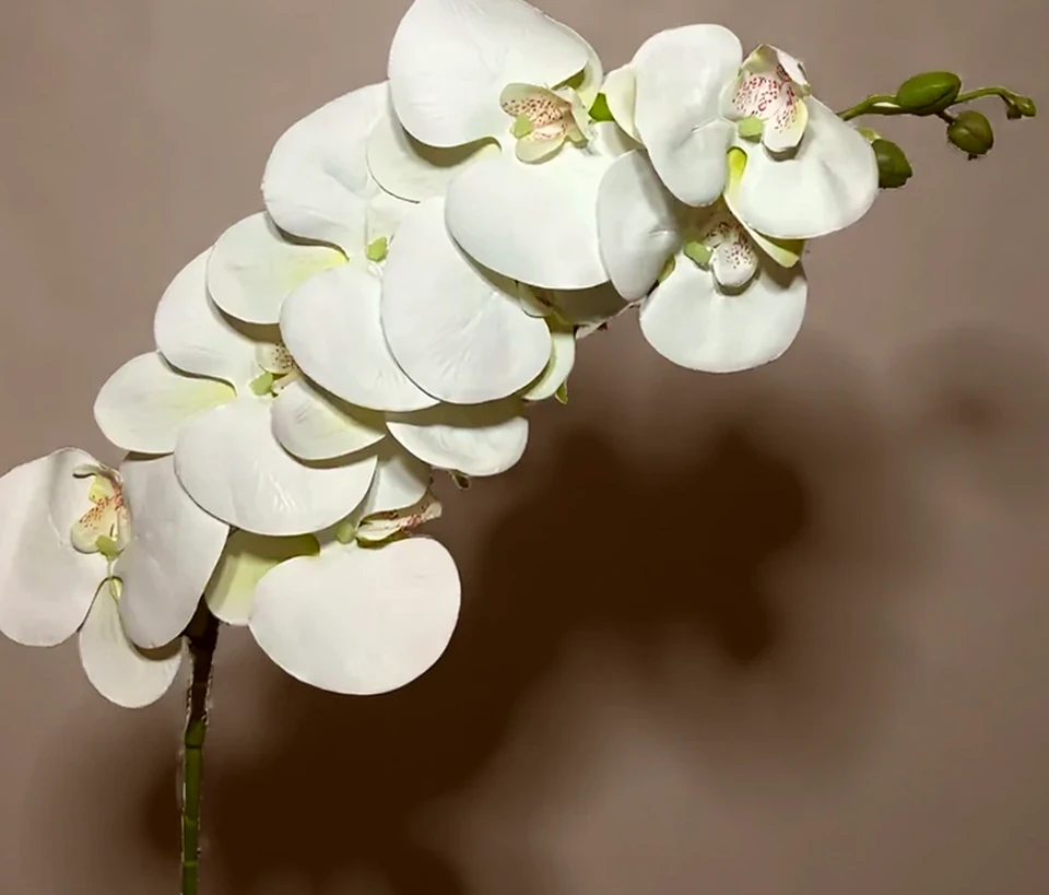 Orquídea Atificial, imagem ilustrativa
